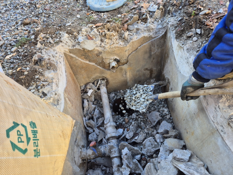 990073733_WcopCaV2_98f974d24bc0c3c5c448b0d331a8a1db6915fbf0.jpg 이미지크게보기