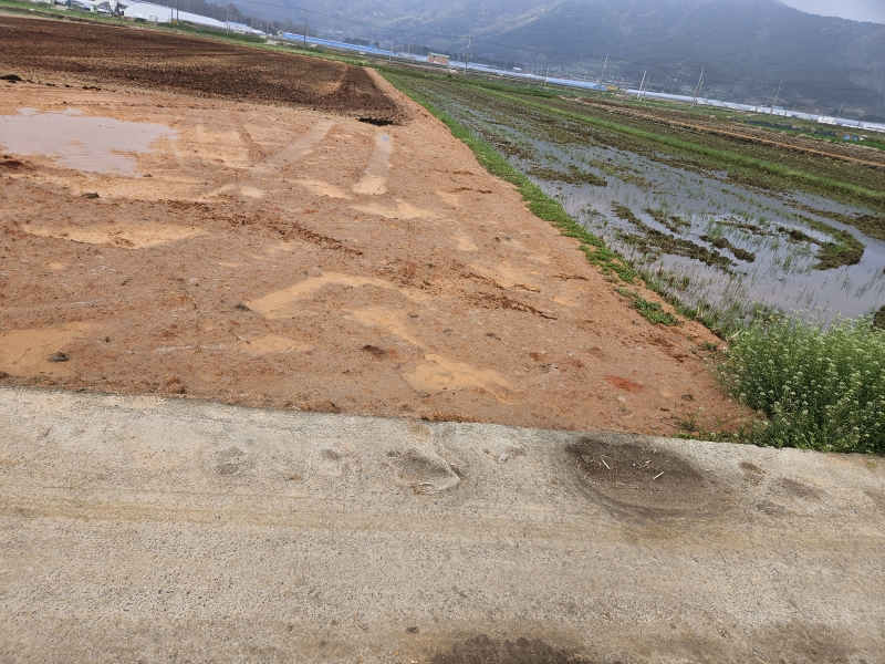 990073733_oiENsFVX_623527e9e8458a3b4e13402f1a71deca40a0c80e.jpg 이미지크게보기