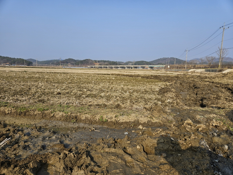 990073733_wtprlx20_8378765bd68d6f6d4df3f0d927179376d6b98799.jpg 이미지크게보기